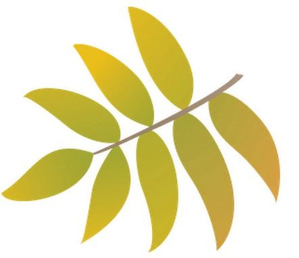 Рябиновый лист трафарет