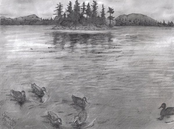 Зарисовки озера