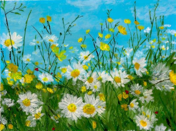 Ромашковое поле пастелью