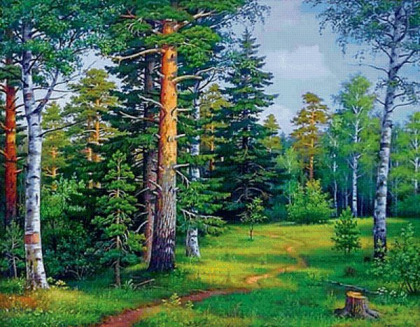 Художник Владимир Бебия