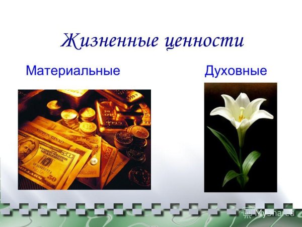 Материальные жизненные ценности