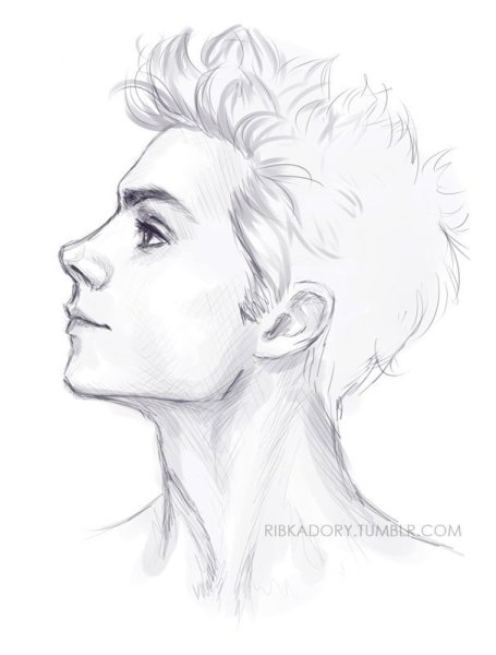 Нарисовать портрет в профиль