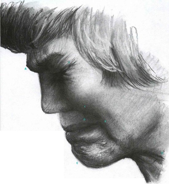 Наброски для рисования мужского лица