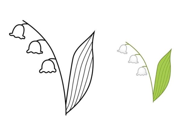 Поэтапное рисование ландыша карандашом