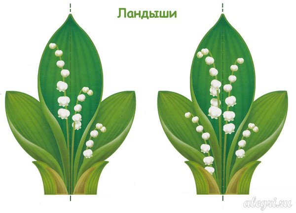 Ландыши для вырезания