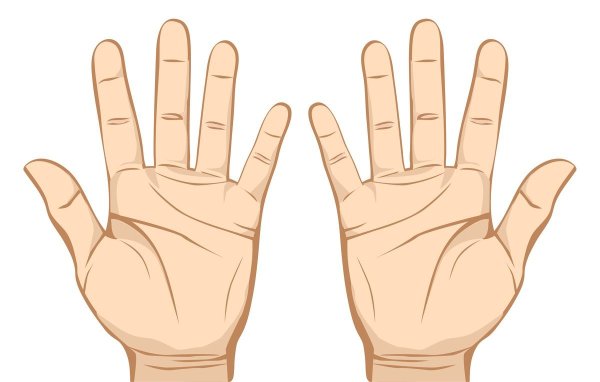 Ладошки левая и правая