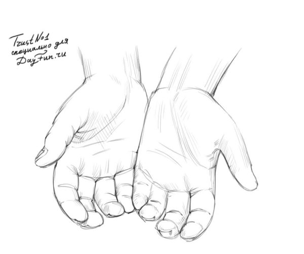 Ладонь рисунок карандашом