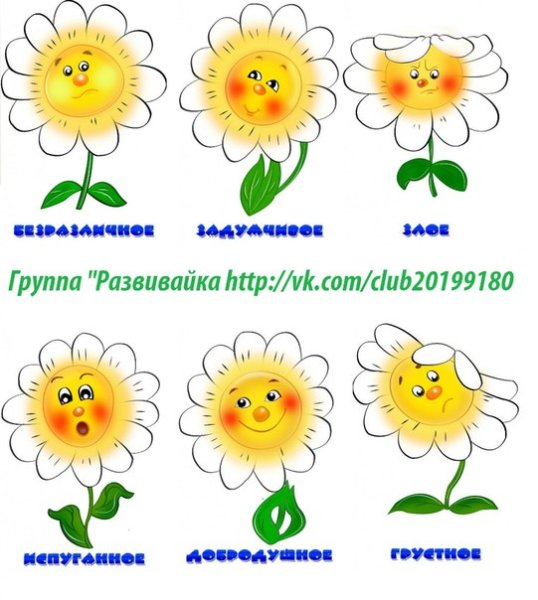 Натюрморт с цветами карандашом