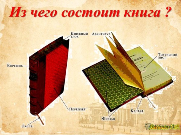 Элементы обложки книги