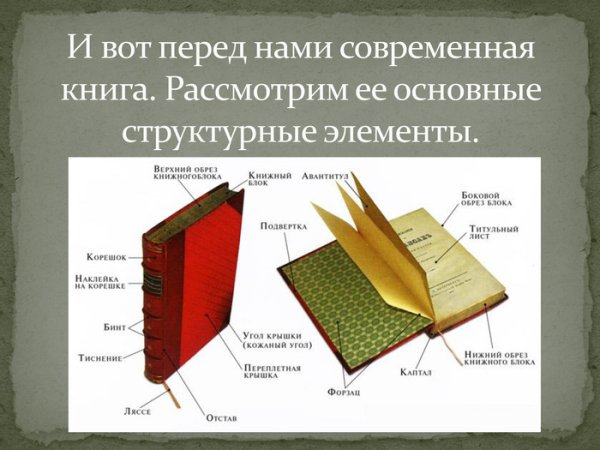 Составные части книги названия