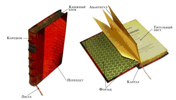 Как правильно называются части книги