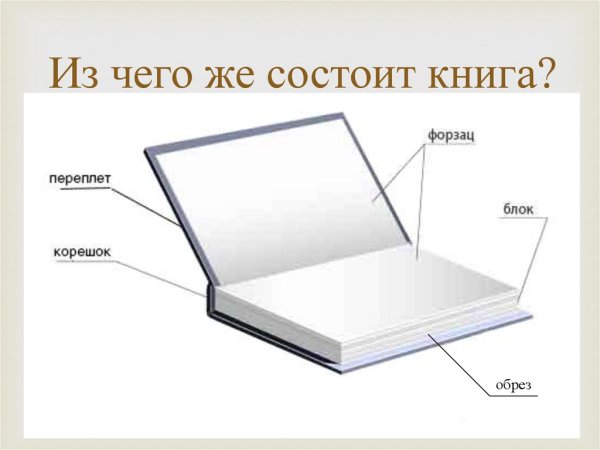 Из чего состоит книга