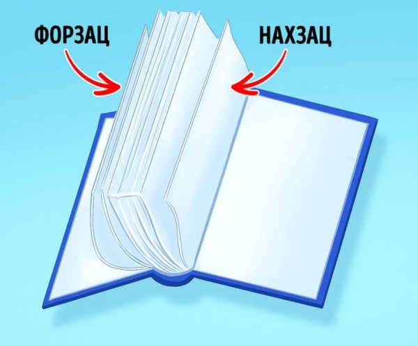 Нахзац книги это