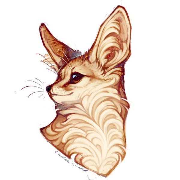 Giulialibard лиса