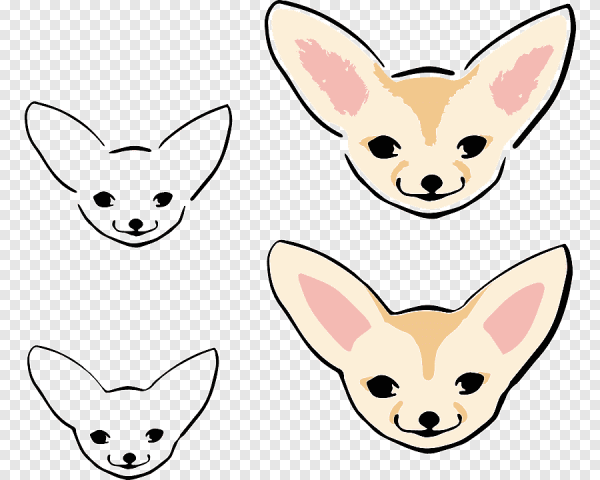 Фенек рисунок мультяшный