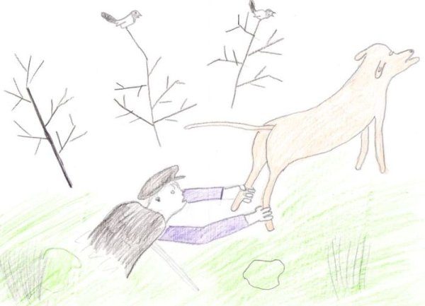 Иллюстрация к сказке Пришвина кладовая солнца