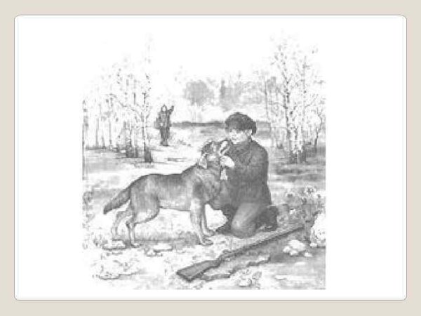 Иллюстрация к рассказу Пришвина кладовая солнца