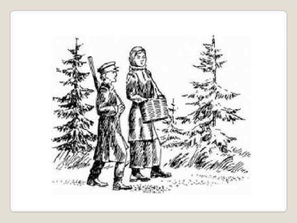 Пришвин кладовая солнца иллюстрации