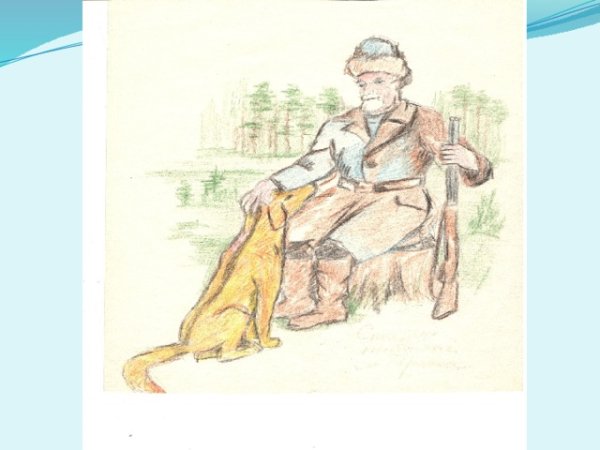 Иллюстрация к рассказу Пришвина кладовая солнца