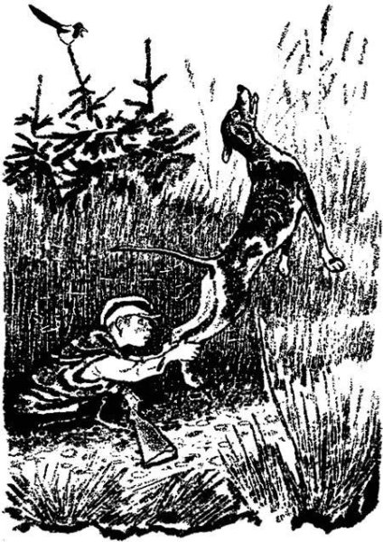 Рачев иллюстрации к кладовой солнца