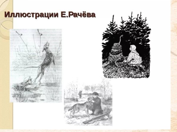 Рачев кладовая солнца