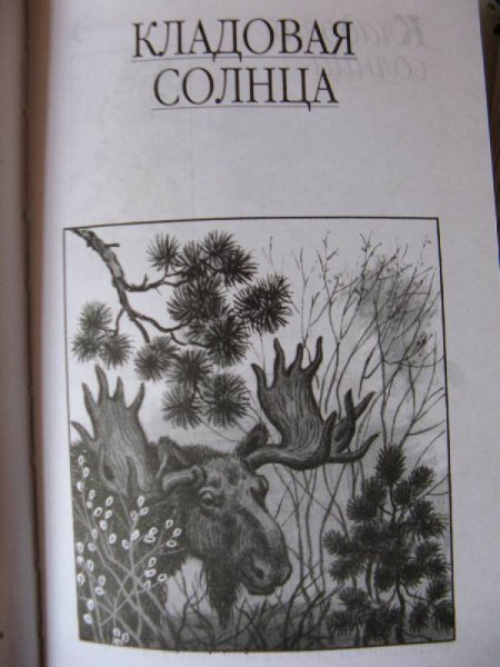 Кладовая солнца