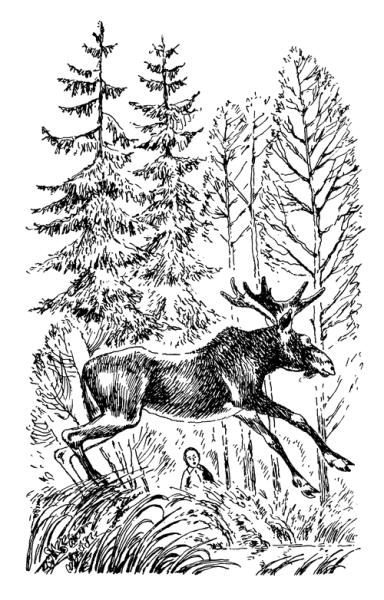 Пришвин кладовая солнца Лось