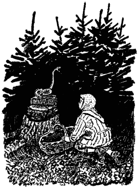 Рачев иллюстратор кладовая солнца