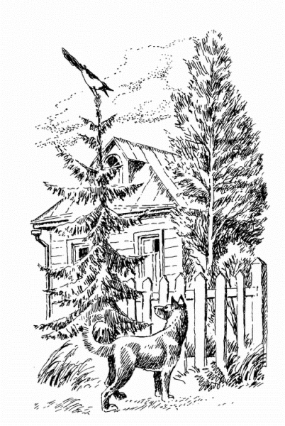 Иллюстрация к рассказу Пришвина кладовая солнца