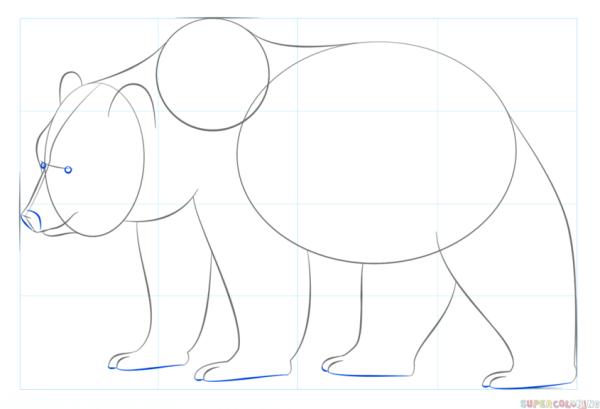 Поэтапное рисование медведя для детей