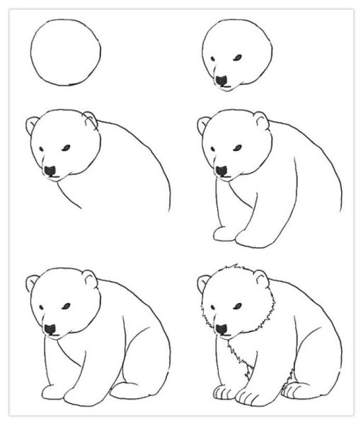 Поэтапное рисование медведя