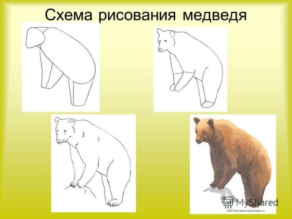 Поэтапное рисование мишки