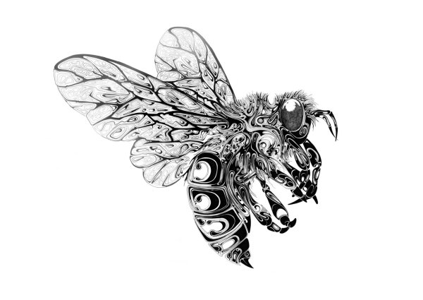 Черно белая Графика