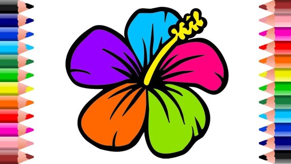 Разноцветные цветы для срисовки