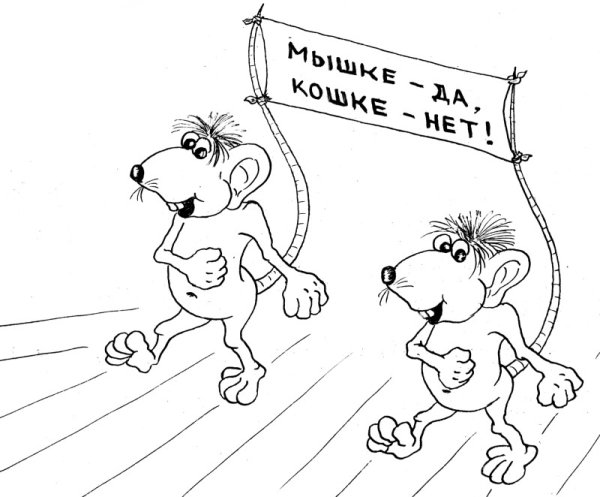 Картинка к фразеологизму Мышиная возня