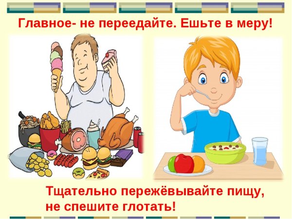 Золотое правило питания