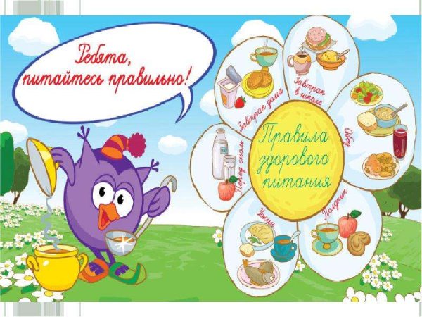 Правильное питание рисунок