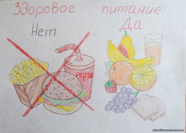 Правильное питание залог здоровья