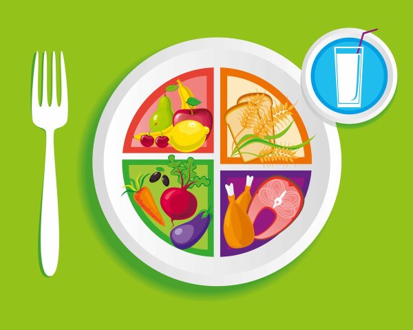 Тарелка здорового питания