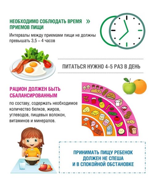 Правильное питание залог здоровья