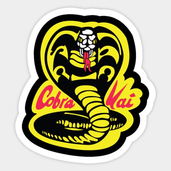 Чехол Кобра Кай
