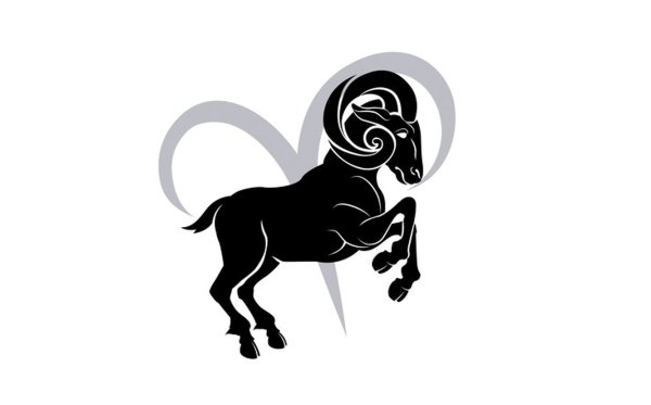 Овен на белом фоне