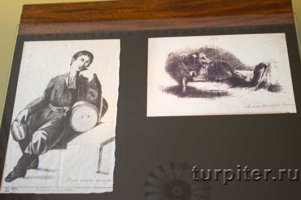 Царскосельский лицей Пушкин