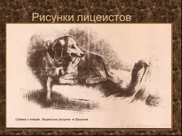 Годы учебы Пушкина