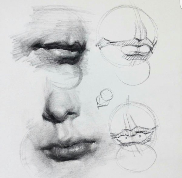 Поэтапное рисование глаз губ носа