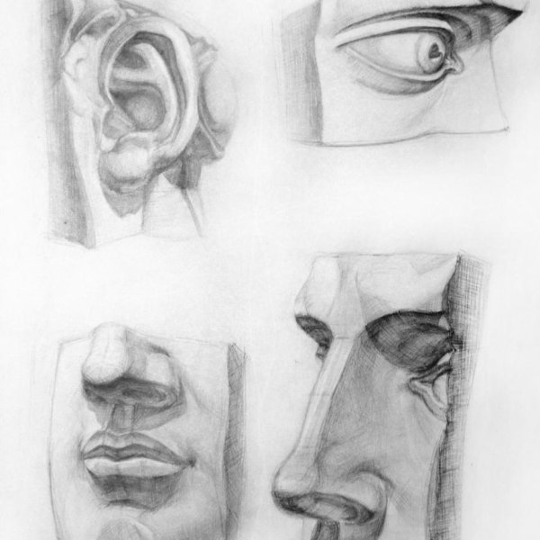 Рисование отдельных частей лица