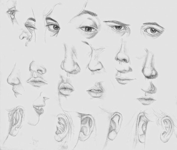 Зарисовки частей лица