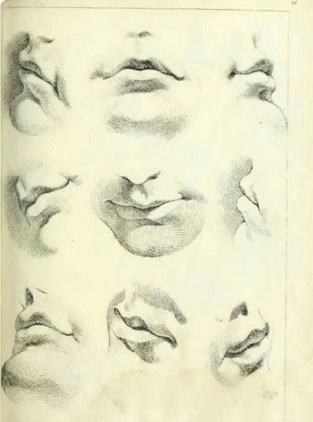 Гипсовые губы Давида рисунок