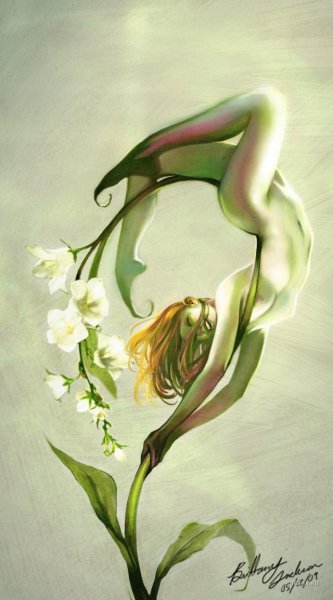 Цветы для женщины