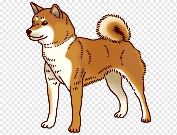 Сиба ину векторное